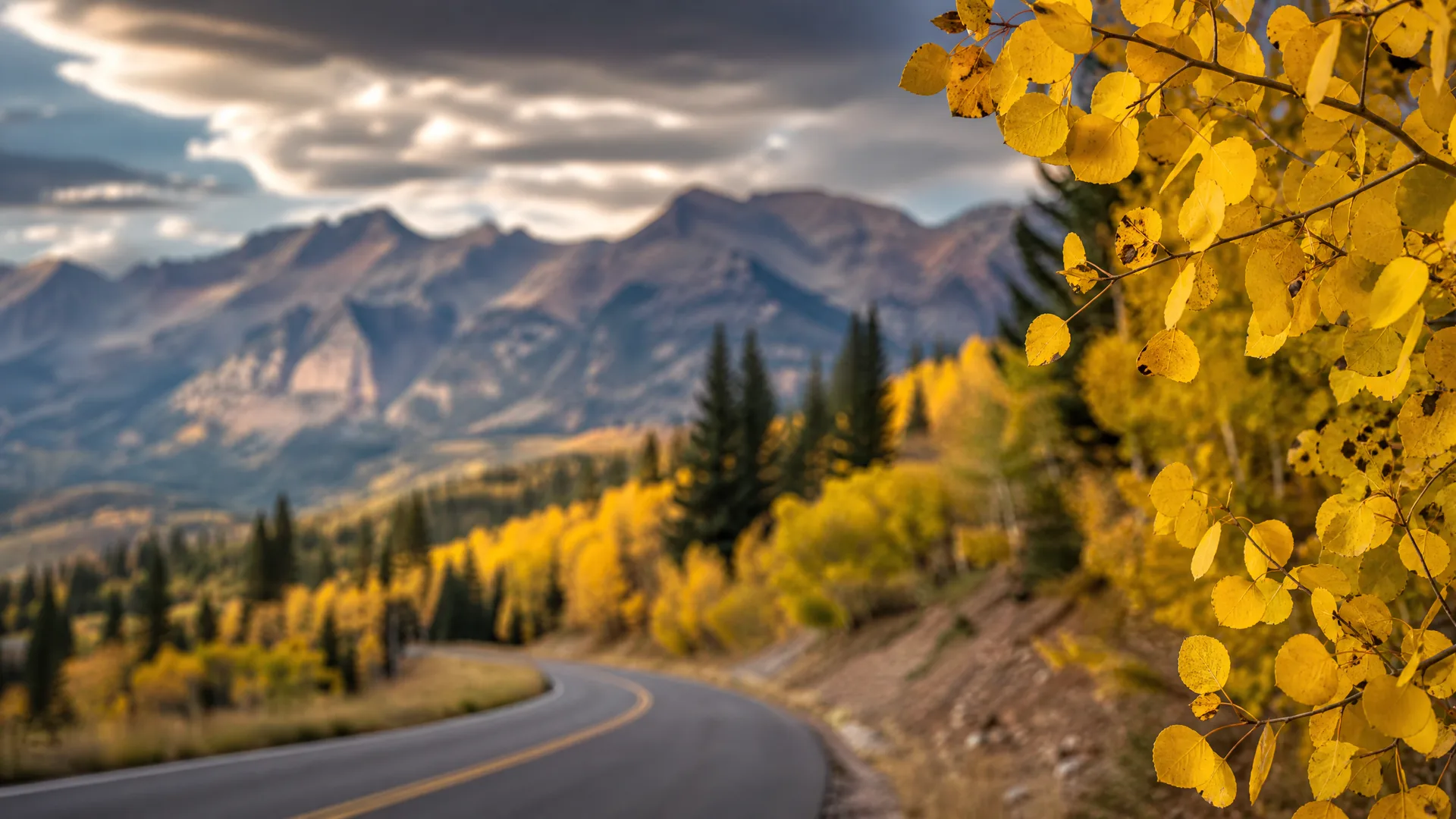 A curving two-lane paved road descends through conifer and yellow-leafed aspen forest toward distant mountain ridges under a cloudy sky, with blurred golden aspen leaves framing the right foreground.